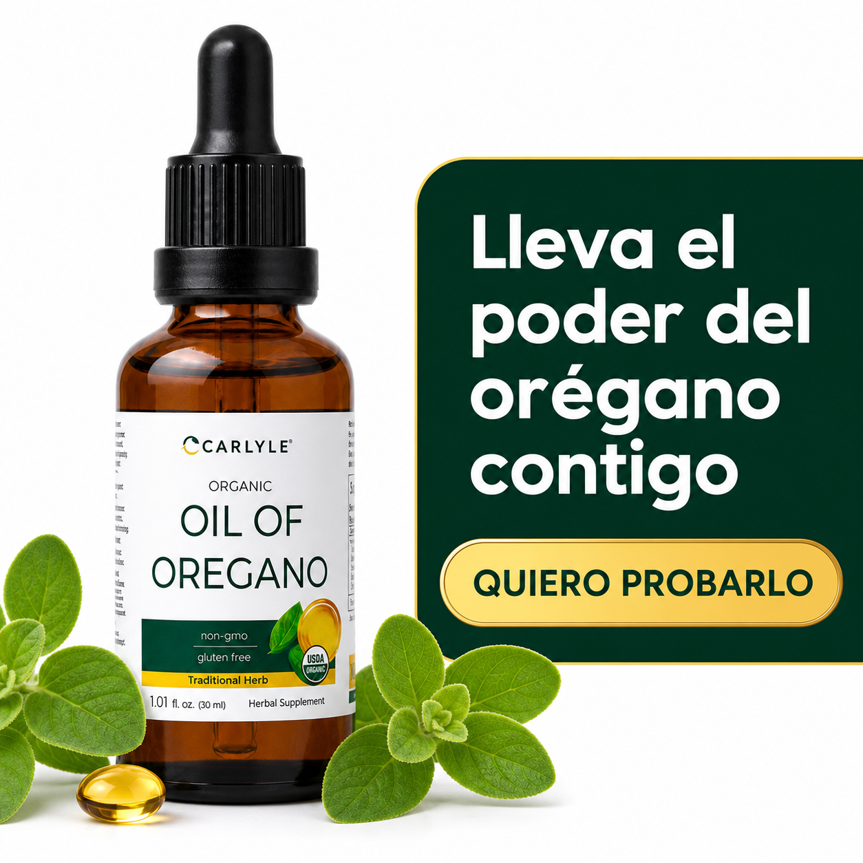 OIL OF OREGANO