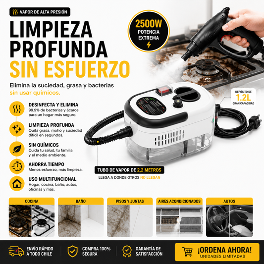 Limpiador A Vapor Presion 2500w Portatil